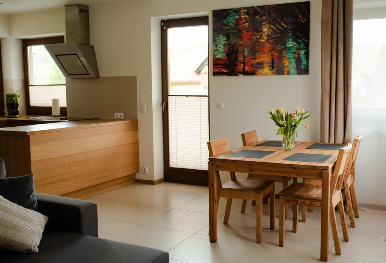 Apartament Sloneczna Rapsodia - Blisko Parku Zdrojowego - Piekny Widok - Ogrod - Taras ラプカ エクステリア 写真