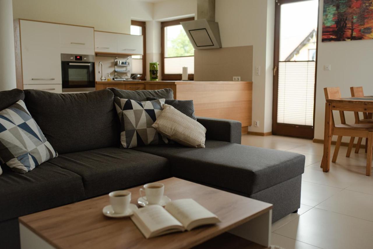 Apartament Sloneczna Rapsodia - Blisko Parku Zdrojowego - Piekny Widok - Ogrod - Taras ラプカ エクステリア 写真